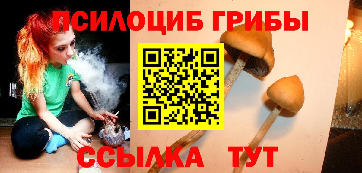 Орехово-Зуево  Псилоцибиновые грибы Cubensis  где купить наркотик  Вход с VPN 